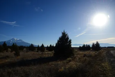 DSC_2973 (Large).JPG